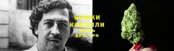 PSILOCYBIN Ельня