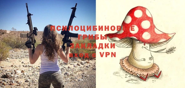 молекула духа Алзамай