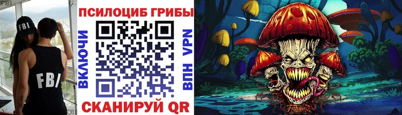 купить   Протвино  Галлюциногенные грибы ЛСД 