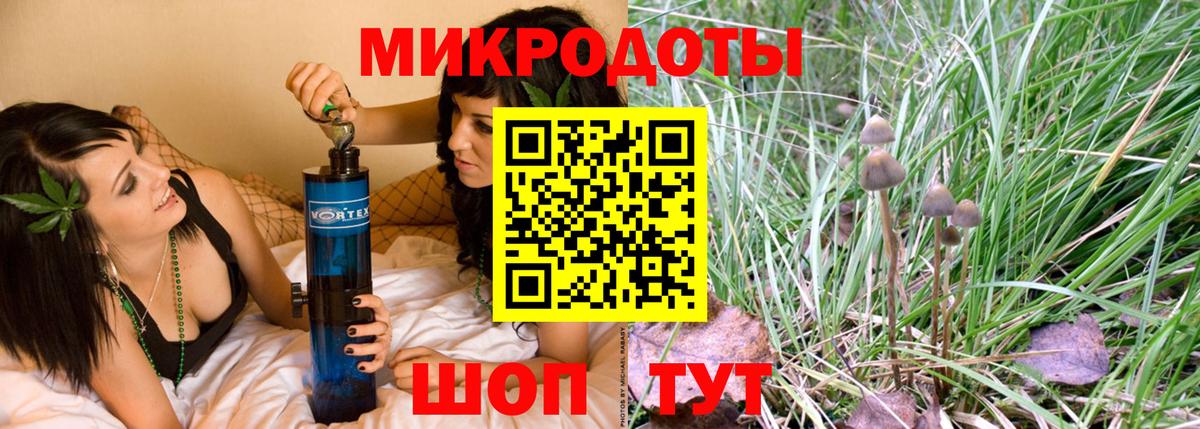 Протвино  Псилоцибиновые грибы Psilocybe  Вход с VPN 